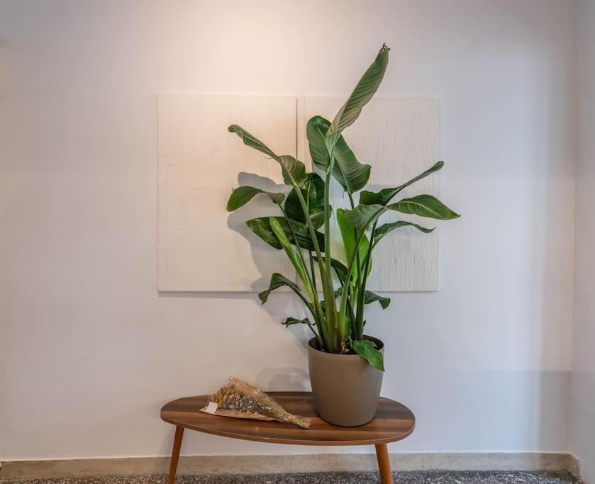 Botanical Lejlighed Athen Eksteriør billede