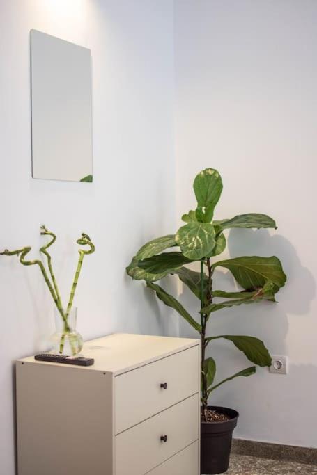 Botanical Lejlighed Athen Eksteriør billede