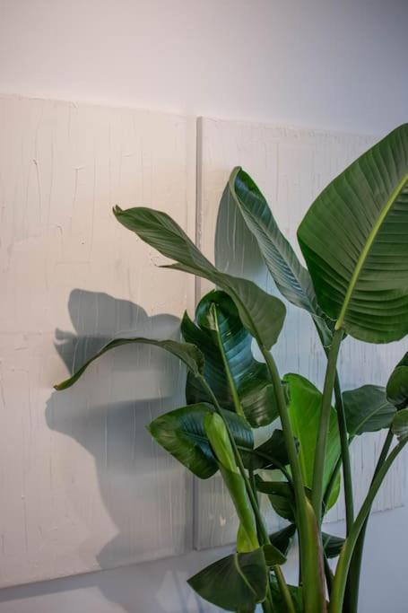 Botanical Lejlighed Athen Eksteriør billede