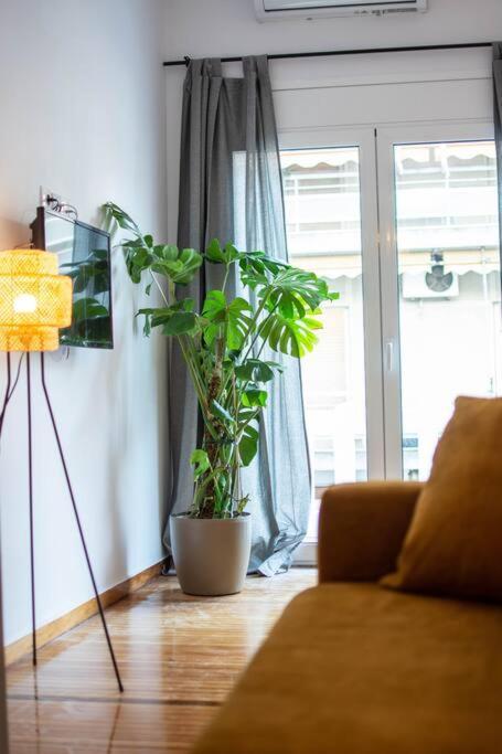 Botanical Lejlighed Athen Eksteriør billede
